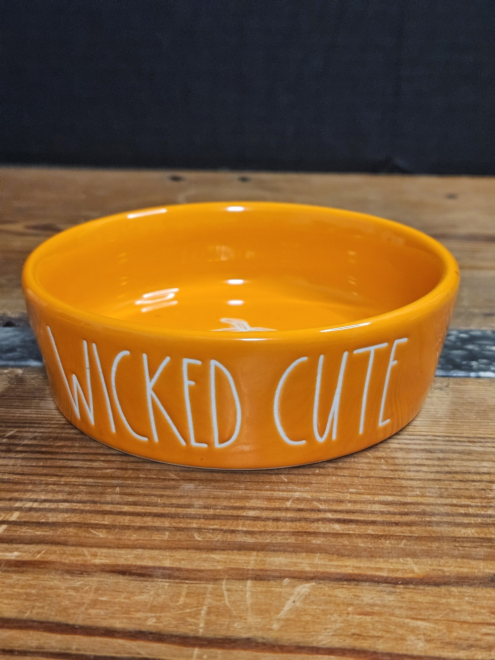 Rae Dunn Wicked Cute Orange Ceramic Pet Bowl